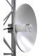Carant SP45/54