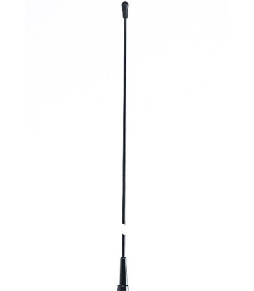 DM171